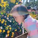 八月未央19910120