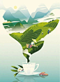 一篇讲述茶叶种植的文章插画