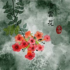 莫羽萱吖采集到凌霄花
