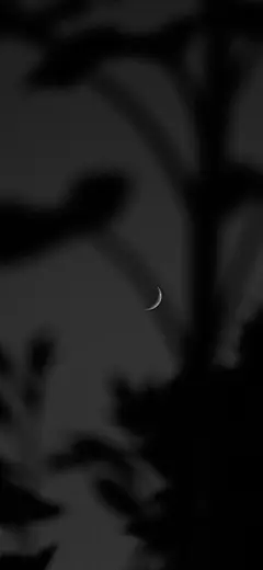 黑色系 手机壁纸