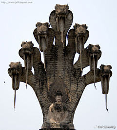 蒂珞采集到花纹样式—神秘、部落