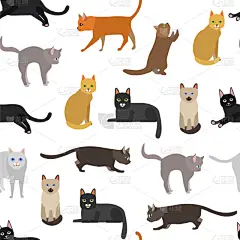 可爱的,性格,猫,卡通,反差,白色,式样,小的,打字,收集