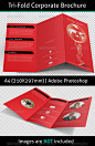 Business Solution Corporate Brochure - GraphicRiver Item for Sale