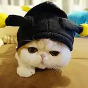 保持朝气