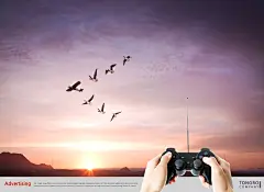 遥控飞机仿生大雁手摇超控创意海报遥控飞机|手摇|创意海报