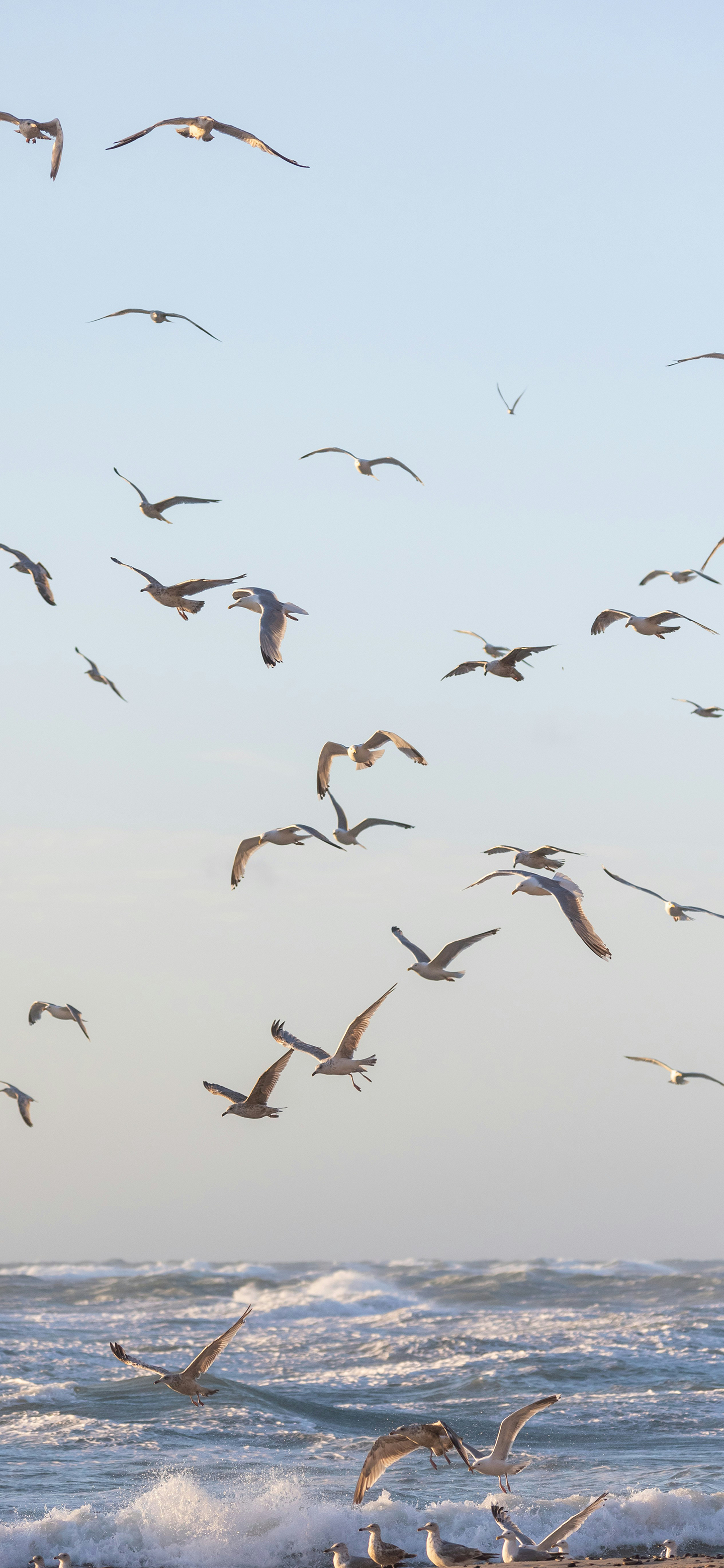 又发现一张还不错的手机壁纸