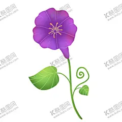 牵牛花手绘插画 【酷图网】手绘牵牛花,手绘喇叭花,牵牛花素材,牵牛花元素,喇叭花素材,水彩牵牛花,水彩喇叭花,国画牵牛花,国画喇叭花,牵牛花插画,喇叭花插画,卡通牵牛花,卡通喇叭花,手绘花卉,鲜花,花朵,手绘水彩花卉,花卉手绘,手绘花卉花朵,抽象手绘花卉,花卉背景墙,水彩花,牵牛花