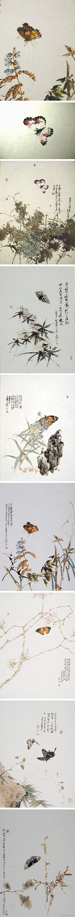 猫夏的我采集到画