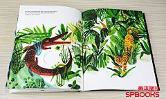 The Forest 森林 英文原版儿童故事艺术绘本 插画童书推荐-tmall.com天猫