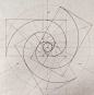Triple Fibonacci spirals