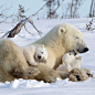 Mother Love  Happy Family  | Photo by @david_hemmings_photo_tours
#Destination_wild