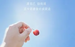 唯美小清新励志文字高清桌面壁纸图片(1)