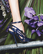 Dior 2014春夏系列美鞋…… | Amanda时尚笔记