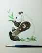 大熊猫 #治愈系# #水彩# #小清新#动物#小刺猬插画#