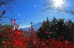 日本富士山和富士吉田市