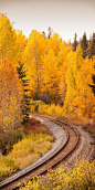 Golden Autumn tracks