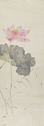 1151e776e88c4135acceb04803520ad1.jpg (750×2143)