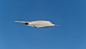 “雷神”行空，英国雷神无人战斗机首飞 “雷神”无人机似乎向人们展示了欧洲的另外想法，那就是跨过四代机一步进入更新一个航空技术领域。英国雷神无人战斗机是一款三角翼高科技战机，于2010年推出技术验证机，此机具备隐身功能与自动防卫能力，可做跨越洲际飞行。 英国人自称是英国工程的巅峰之作。