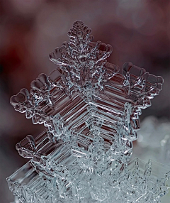 梦中我有一头迷人长发采集到冰雪