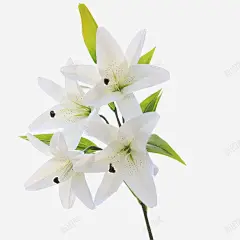 一只百合花 页面网页 平面电商 创意素材