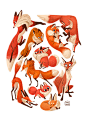 Various Foxes : Character design of different fox characters, digital Illustration