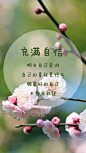 充满自信 