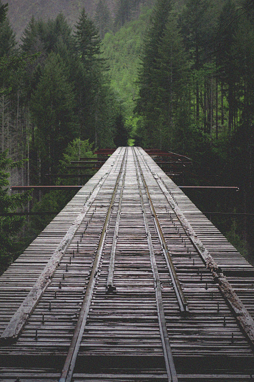 Vance Creek Bridge
万...