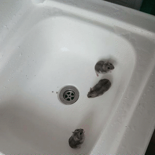一大早就发现这个，我该怎么处理呢