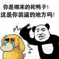 有个平胸女友是个怎样的体验(亲福利) - 步行街 - 虎扑体育论坛