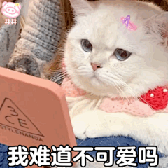 @網黑 