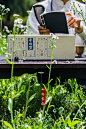 茶叶品牌的包装拍摄