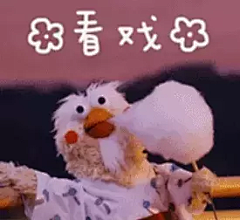 鹦鹉兄弟gif动态图片_鹦鹉兄弟GIF素材_鹦鹉兄弟表情包-51GIF