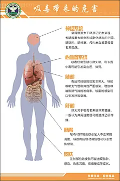 大气简约禁毒宣传海报设计