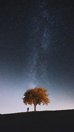 (1 条消息) 有哪些你不舍得换的手机壁纸？ - 知乎 : 1.红色系2.星月系3.黑色系4.动漫系5.这个杀手不太冷系列壁纸这张真是超级喜欢还有好多，先更到这里。