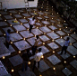 Landscaping | #jaipur #lights #design #architecture