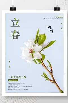 立春二十四节气春天春季你好春天简约海报