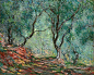 0788_莫奈高清油画绘画作品JPG格式_Claude_Monet_Paintings_-_1525_paintings_Olive_Tree_Wood_in_the_Moreno_Garden_1884