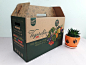 现货精品手提超市果蔬菜包装盒礼品盒纸盒子水果蔬菜包装箱纸箱-淘宝网