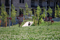 葡萄牙城市绿地公园及绿色屋顶 / rita guedes|arquitectura paisagista – mooool木藕设计网