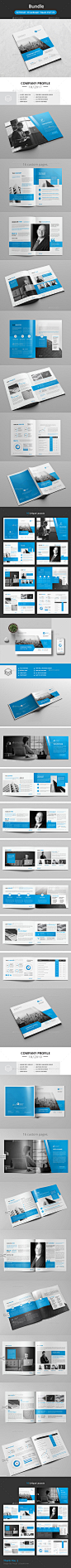 Company Brochure Bundle - Corporate Brochures