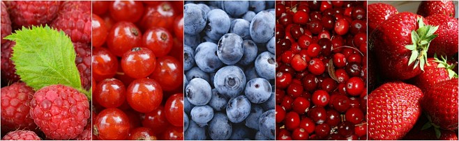 Free berries berry c...
