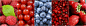 Free berries berry collage illustration