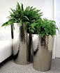 Ferns in hammered stainless steel planters like the planters but not the ferns: 