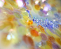 宝石 (11)