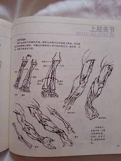 麦麦879786采集到人机研 究