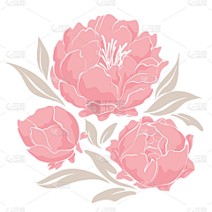 楠楠浔采集到边框+花纹+纹理
