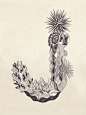 Alphabet : A to L (monochrome) : Drawing with the oiliness ball-point pen.