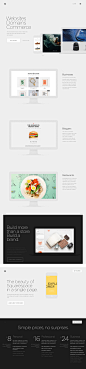 squarespace-1