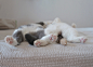 Photograph synchronized sleeping by guremike on 500px