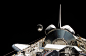 Starshine 2 Deployment | 相片擁有者 NASA on The Commons